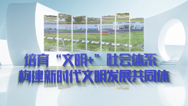 橫崗街道關(guān)于培育“文明+”社會(huì)體系構(gòu)建新時(shí)代文明發(fā)展共同體的政策解讀